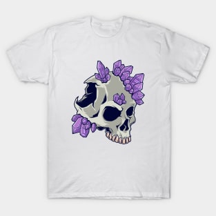 Skull with crystals - Aestethic Goblincore T-Shirt